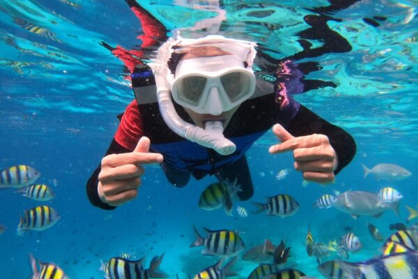 dolphin trip pulau sabang 3