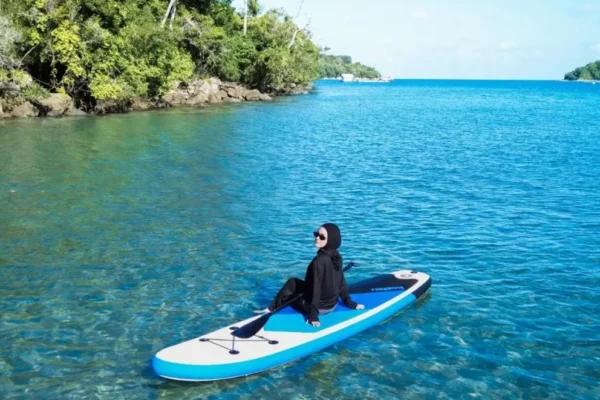 dolphin trip pulau sabang 4